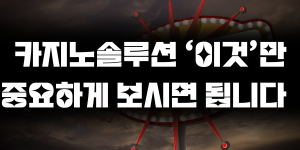 카지노솔루션 ‘이것’만 중요하게 보시면 됩니다