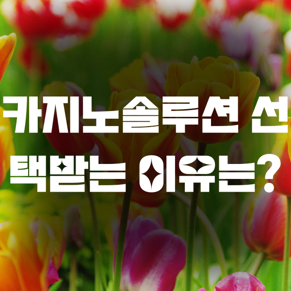 카지노솔루션 선택받는 이유는