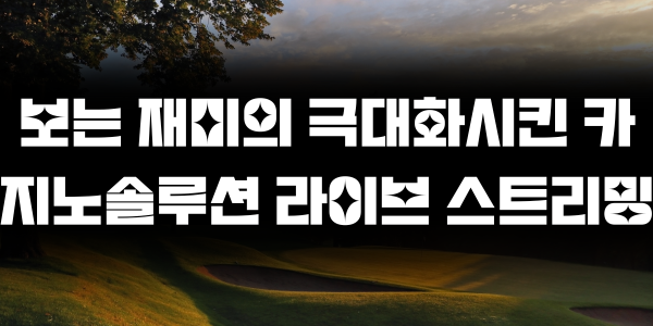 보는 재미의 극대화시킨 카지노솔루션 라이브 스트리밍