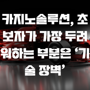카지노솔루션, 초보자가 가장 두려워하는 부분은 ‘기술 장벽’